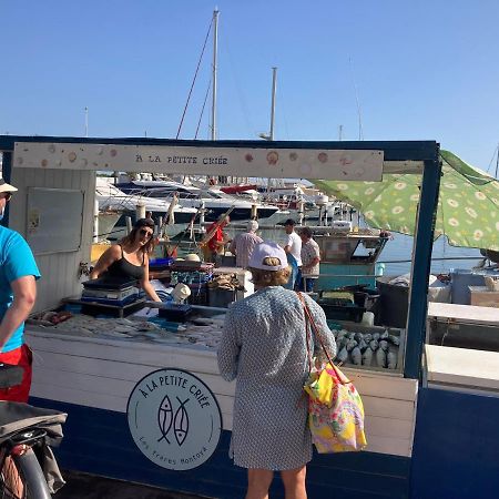 Mas De La Riviere Villa Villelongue-de-la-Salanque Kültér fotó