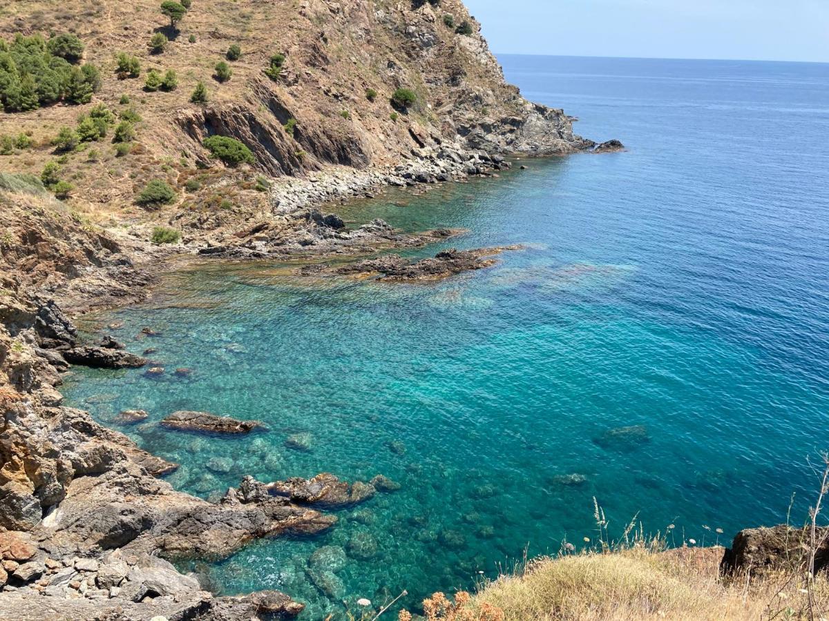 Mas De La Riviere Villa Villelongue-de-la-Salanque Kültér fotó