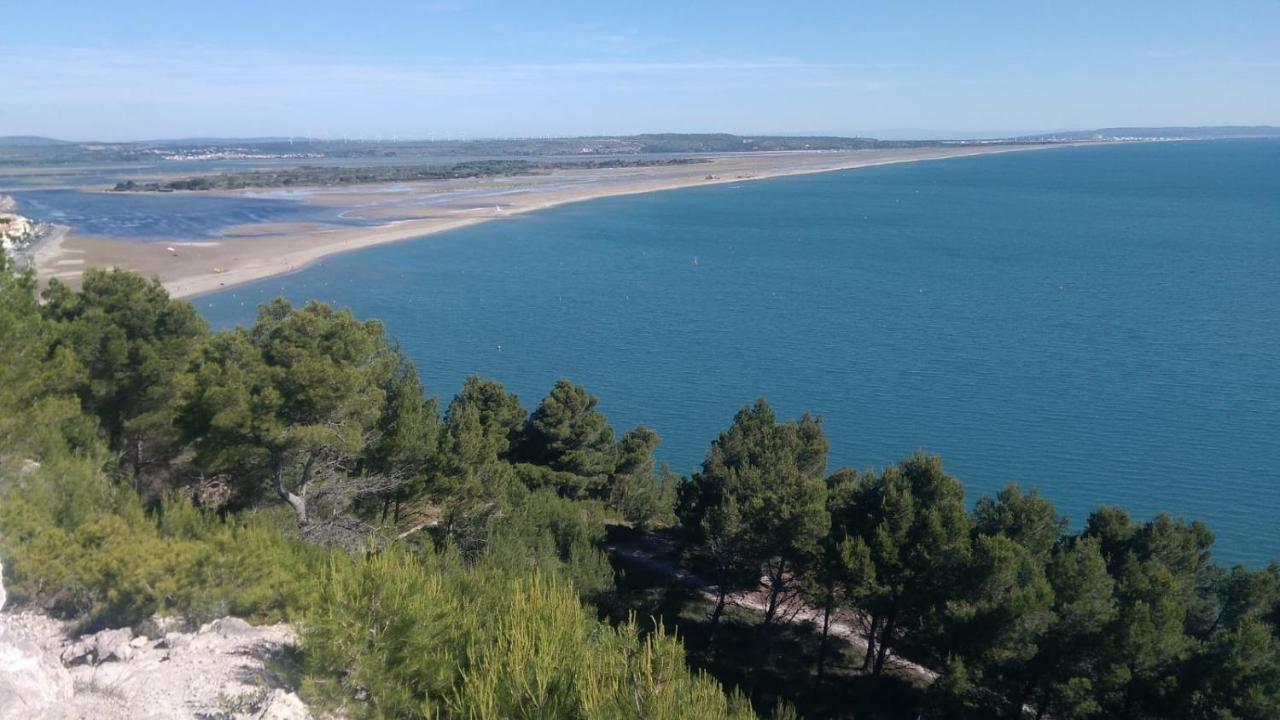 Mas De La Riviere Villa Villelongue-de-la-Salanque Kültér fotó